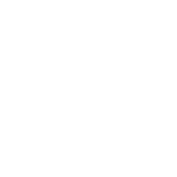 BERVOS Logo